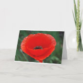 Mohnische Blume und Bedeutung Karte (Rückseite)