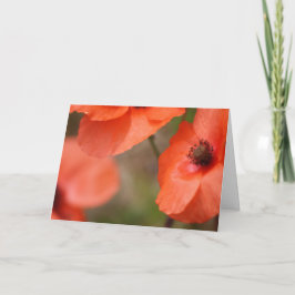 Mohnkarte Karte