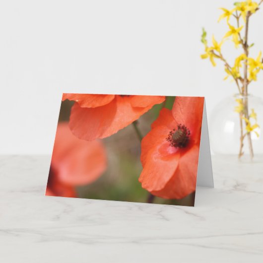 Mohnkarte Karte (Gelbe Blume)