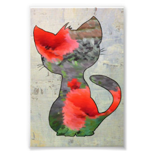 Mohnkatze Fotodruck