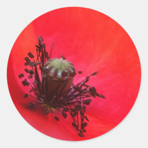 Mohnkleber Runder Aufkleber