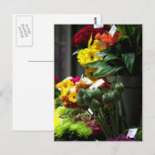 Mohnköpfe Postkarte (Vorne/Hinten)