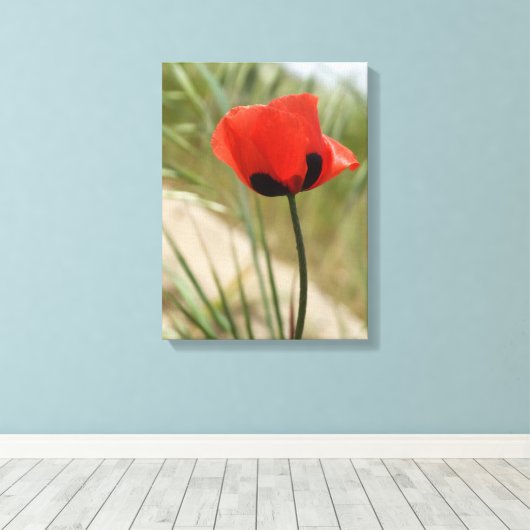 Mohnmauer Leinwand drucken (Insitu (Holzboden))