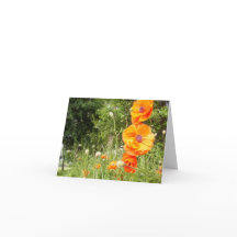 Mohnpfropfen / Notizkarte