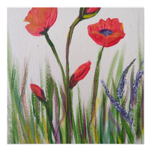 Mohnplakat Poster (Vorderseite)