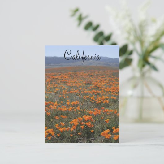 Mohnreserve Postkarte (Stehend Vorderseite)