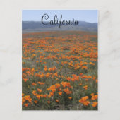 Mohnreserve Postkarte (Vorderseite)