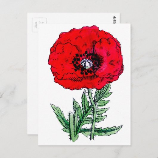 Mohnrote Blume Vintage Weinblüten Postkarte (Vorne/Hinten)