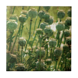 Mohnsamen-Blume Fliese
