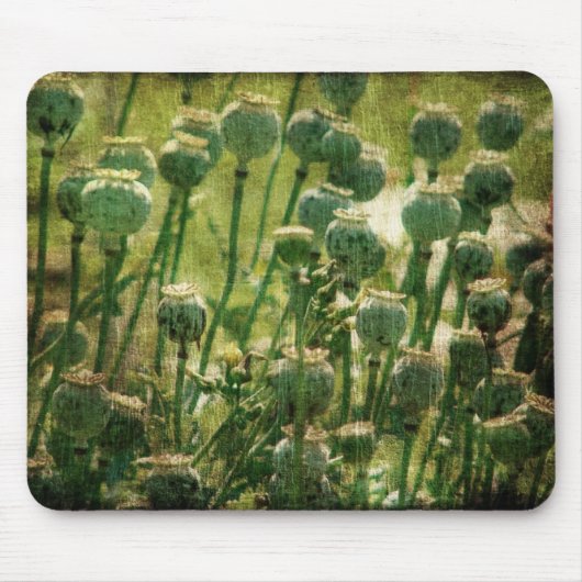 Mohnsamen-Blume Mousepad (Vorne)