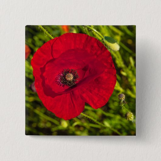 Mohnserie #2 button (Vorderseite)