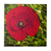 Mohnserie #2 fliese (Vorderseite)