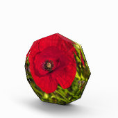 Mohnserie #2 fotoblock (Rechts)