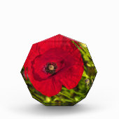 Mohnserie #2 fotoblock (Vorderseite)