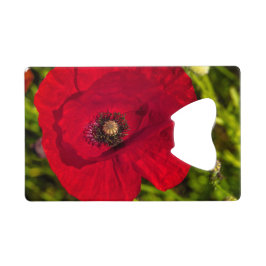 Mohnserie #2 geldbeutel flaschenöffner