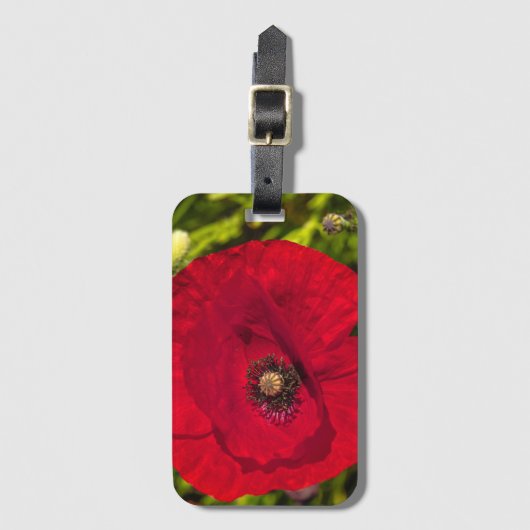 Mohnserie #2 gepäckanhänger (Vorderseite Vertikal)