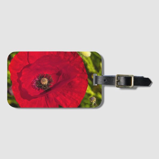 Mohnserie #2 gepäckanhänger (Vorderseite (Horizontal))