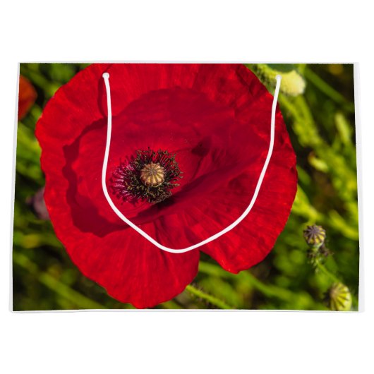 Mohnserie #2 große geschenktüte (Vorderseite)
