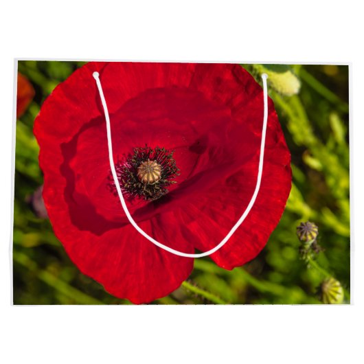 Mohnserie #2 große geschenktüte (Rückseite)