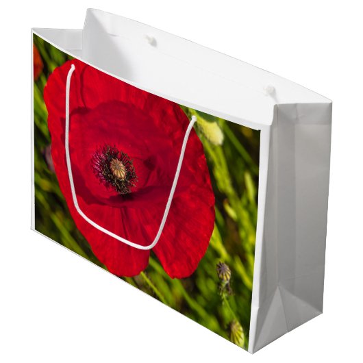 Mohnserie #2 große geschenktüte (Vorderseite Schrägansicht)