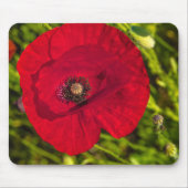 Mohnserie #2 mousepad (Vorne)