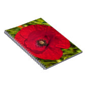 Mohnserie #2 notizblock (Rechte Seite)