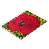 Mohnserie #2 notizblock (Linke Seite)