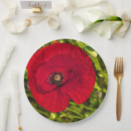 Mohnserie #2 pappteller