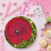 Mohnserie #2 pappteller (Party)