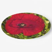 Mohnserie #2 pappteller (Schrägansicht)