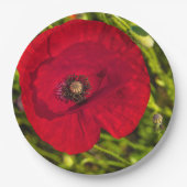 Mohnserie #2 pappteller (Vorderseite)