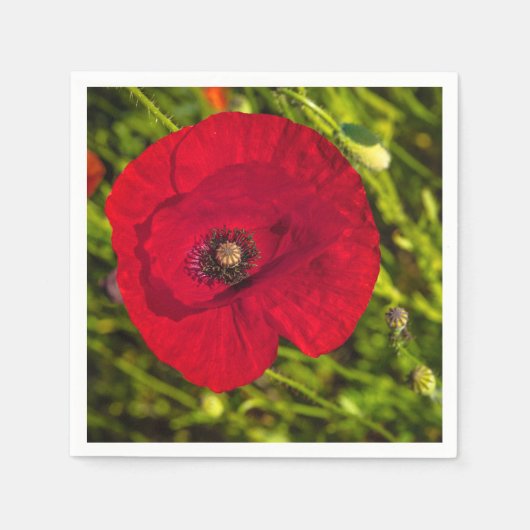 Mohnserie #2 serviette (Vorderseite)