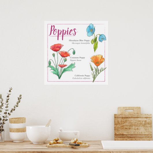 Mohnsorten Poster (Küche)