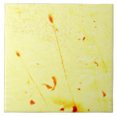 Mohnstalks, getrocknet fliese (Vorderseite)