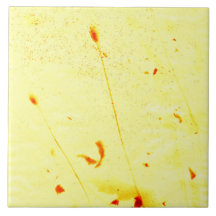 Mohnstalks, getrocknet