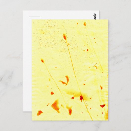 Mohnstalks, getrocknet postkarte (Vorne/Hinten)