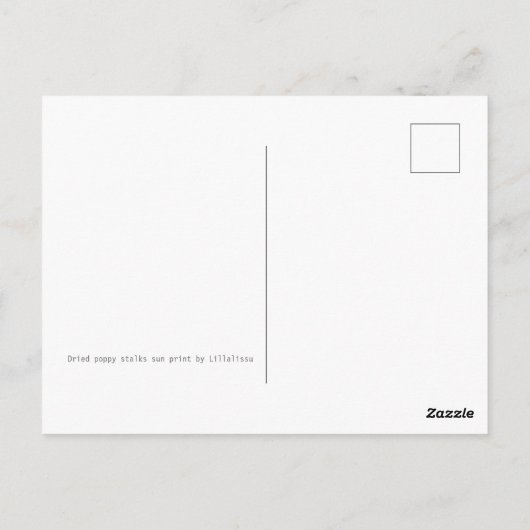 Mohnstalks, getrocknet postkarte (Rückseite)
