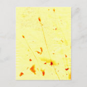 Mohnstalks, getrocknet postkarte (Vorderseite)