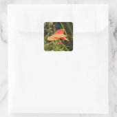 Mohnsticker Quadratischer Aufkleber (Tasche)