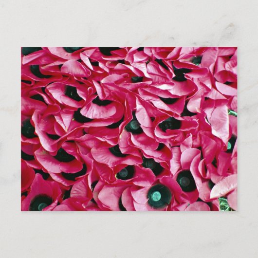 Mohntag Postkarte (Vorderseite)