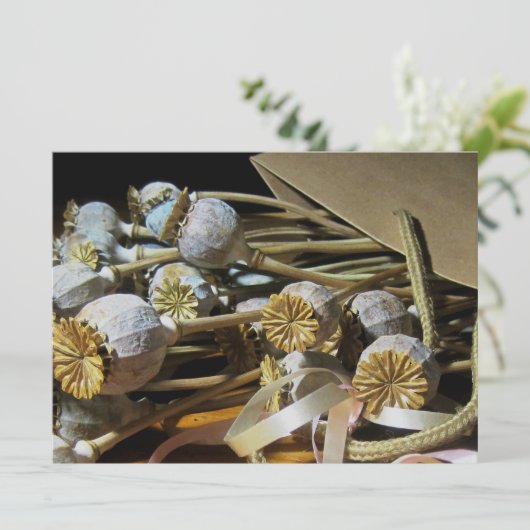 Mohnwürfel, getrocknet, Blume Einladung (Stehend Vorderseite)