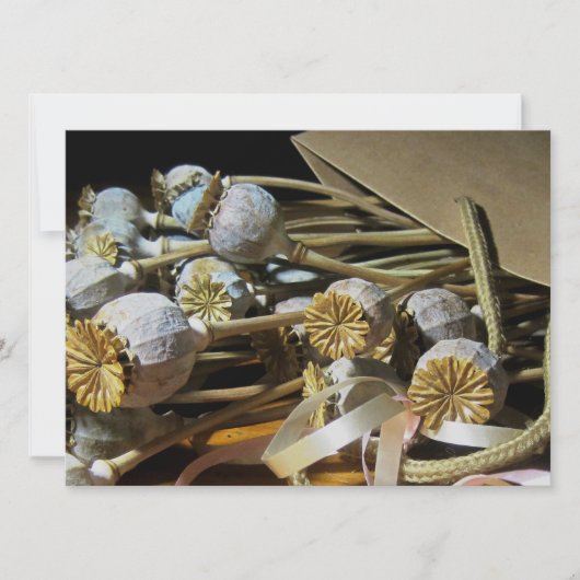 Mohnwürfel, getrocknet, Blume Einladung (Vorderseite)