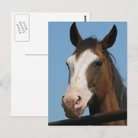 Möhren got? postkarte (Vorne/Hinten)