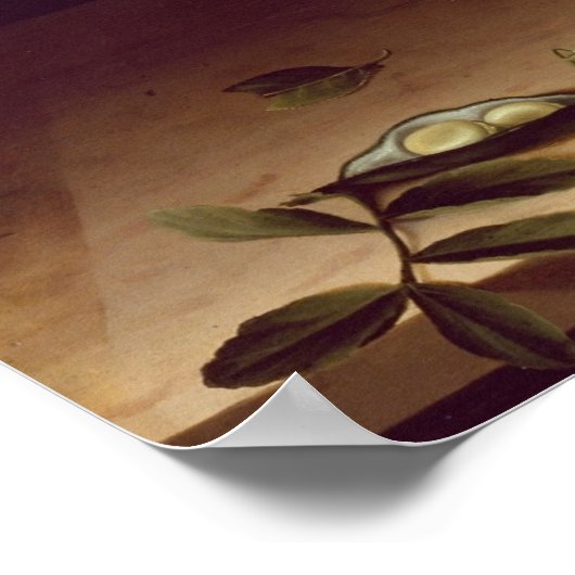 Moillon - Obstkorb und Spargel Poster (Ecke)