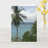 Moira am Anker, Bahia Drake, Costa Rica Karte (Gelbe Blume)