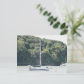 Moira auf Ankerplatz, Angel Island, San Francisco Postkarte (Stehend Vorderseite)