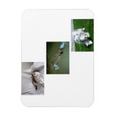 Moira, Riley und Tyler Foto Collage Magnet (Vertikal)