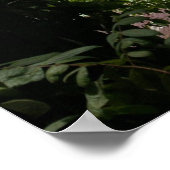 Moira vor Anker, Bahia Drake, Costa Rica Poster (Ecke)