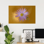 Mojave Aster Wildblume Poster (Heimbüro)