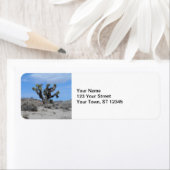 Mojave Desert Joshua Tree (Insitu)